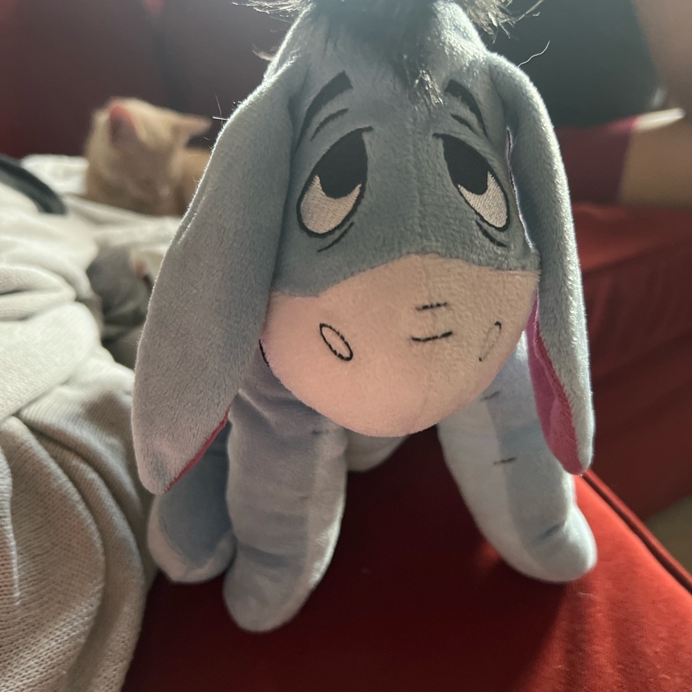 Disney Eeyore Blue and Pink Stuffed Animal